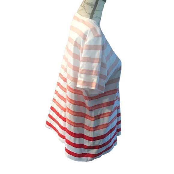 Kim Rogers Bumblebee Large Short Sleeve Blouse - Picture 3 of 11